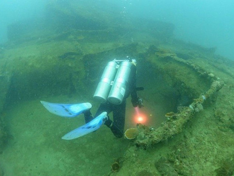 WOW SHARK DIVE SUBIC